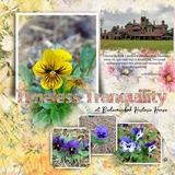 Atelier Art - Colorful Cosmos - Bundle