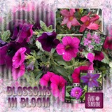 Thrifty Things - Lilac Wine Watercolor Papers