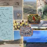 Welcome to The Arizona Desert Mega Bundle