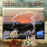 Welcome to The Arizona Desert Mega Bundle