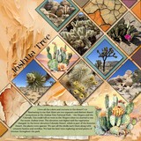 Welcome to The Arizona Desert Mega Bundle
