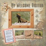 Welcome to The Arizona Desert Mega Bundle