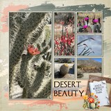 Welcome to The Arizona Desert Mega Bundle