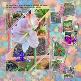 Paper Paradise - Seasons BUNDLE