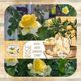 Together FOREVER August 2025 - Make Lemonade