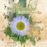 Together FOREVER August 2025 - Make Lemonade