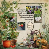 Terracotta Garden Big Bundle