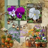 Terracotta Garden Big Bundle