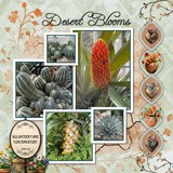 Terracotta Garden Big Bundle