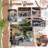 Terracotta Garden Big Bundle