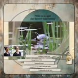 Serenity Sync Bundle