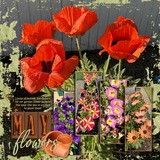 Thrifty Things - A Bit Potty