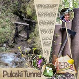 Artistic License Summer Stories