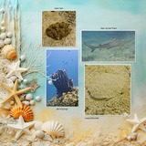 Clustered Border Backgrounds  Set 2