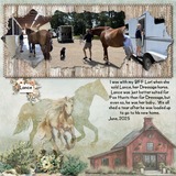 Country Nest Mega Big Bundle