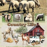 Country Nest Mega Big Bundle