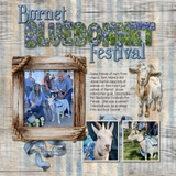 Country Nest Mega Big Bundle