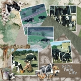 Country Nest Mega Big Bundle