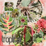 Artistic License Meshy Moments