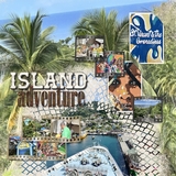 Artistic License Meshy Moments