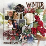 Artistic License Musings - Part 6