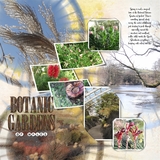 Artistic License Musings - Part 6