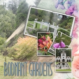 Artistic License Musings - Part 6