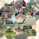 Thrifty Things - Autumn Vibes Alpha