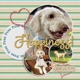 Happiness Is Enhanced Photo Clusters