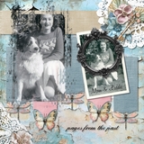 12 Chapters - Chapter Eight Mega Bundle