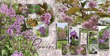 Thrifty Things - Lilac Wine Watercolor Papers