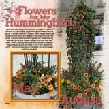 ClusterMania - School Bonanza Photo Clusters