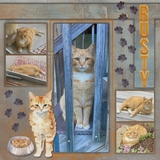 Steel Papers & Overlays