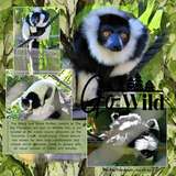 The Scrapbook Factory - August 2025