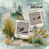 Coastal Wild EZ Pages