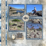 Coastal Wild EZ Clusters & Effects Bundle