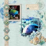 Coastal Wild EZ Clusters & Effects Bundle