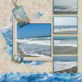 Coastal Wild EZ Clusters & Effects Bundle