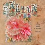 Vintage Bookmark Alpha