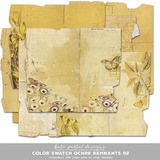 Color Swatch Ochre Remnants 02