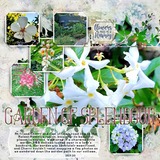 Together FOREVER - September 2025  Templates