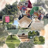 Thrifty Things - Autumn Hues Watercolor Papers