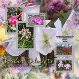 Atelier Art - Pretty Pansies Bundle