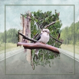 Let's Go - Travel Bundle