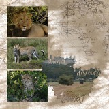 Let's Go - Travel Bundle