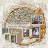 Let's Go - Travel Bundle