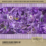 Curated Colors Purple Kit