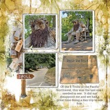 Seamless Starters - Shibori 1 Bundle