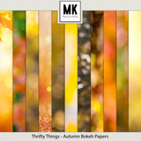 Thrifty Things - Autumn Bokeh Papers