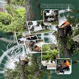 Artistic License Musings - Part 6